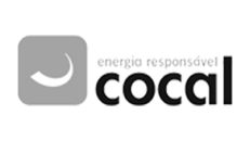 Logo 30